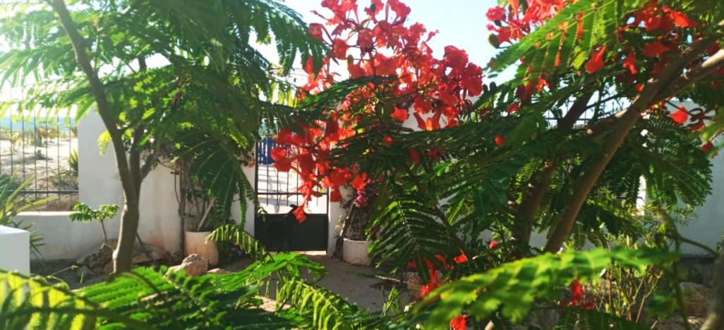 Cytyz Appart Hotel Mahajanga Bagian luar foto