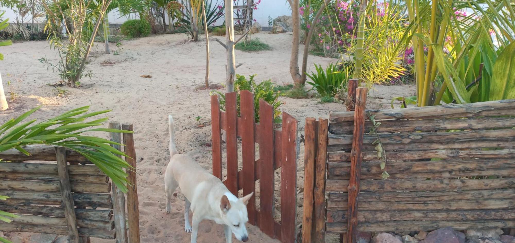 Cytyz Appart Hotel Mahajanga Bagian luar foto