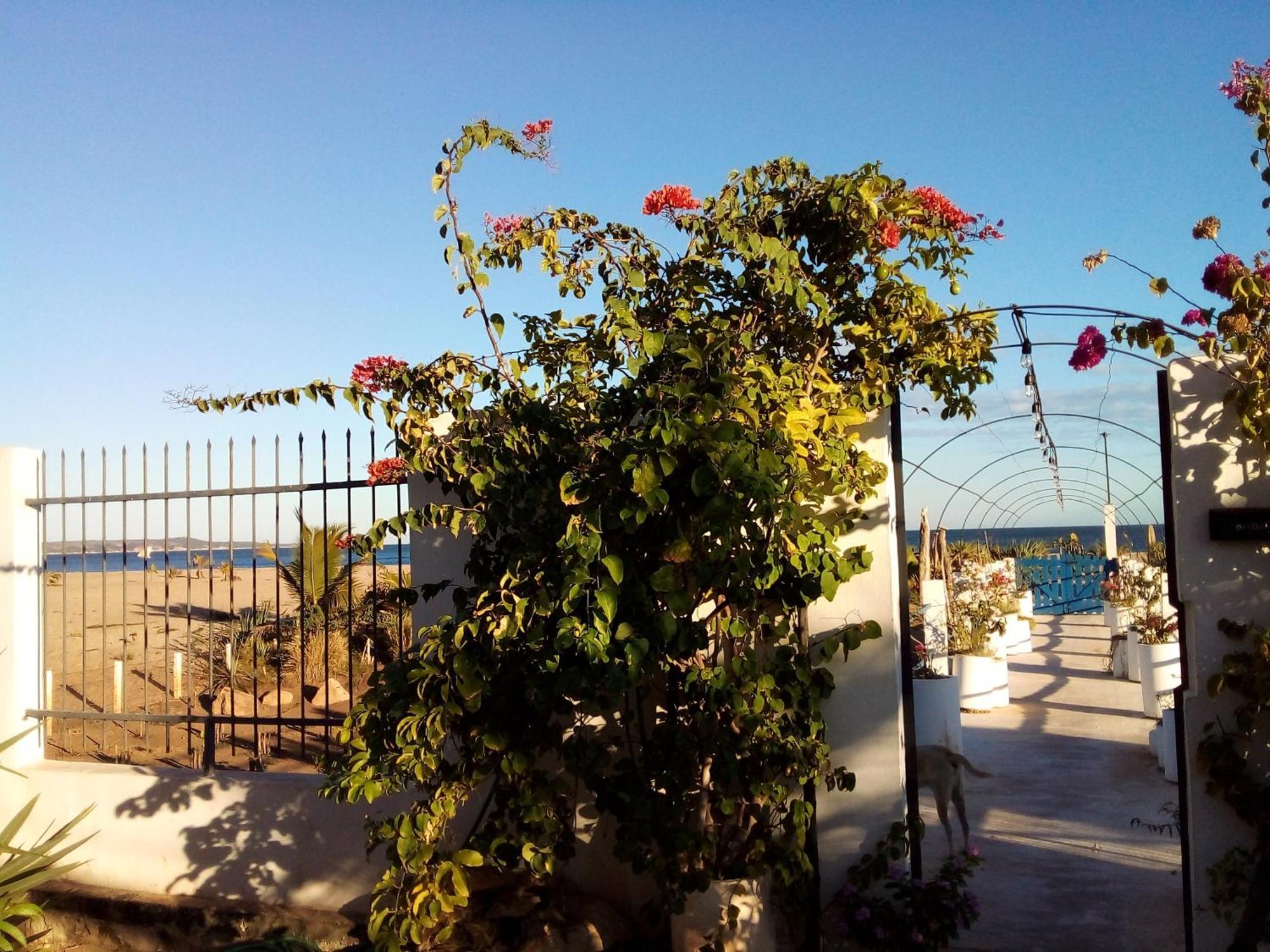 Cytyz Appart Hotel Mahajanga Bagian luar foto