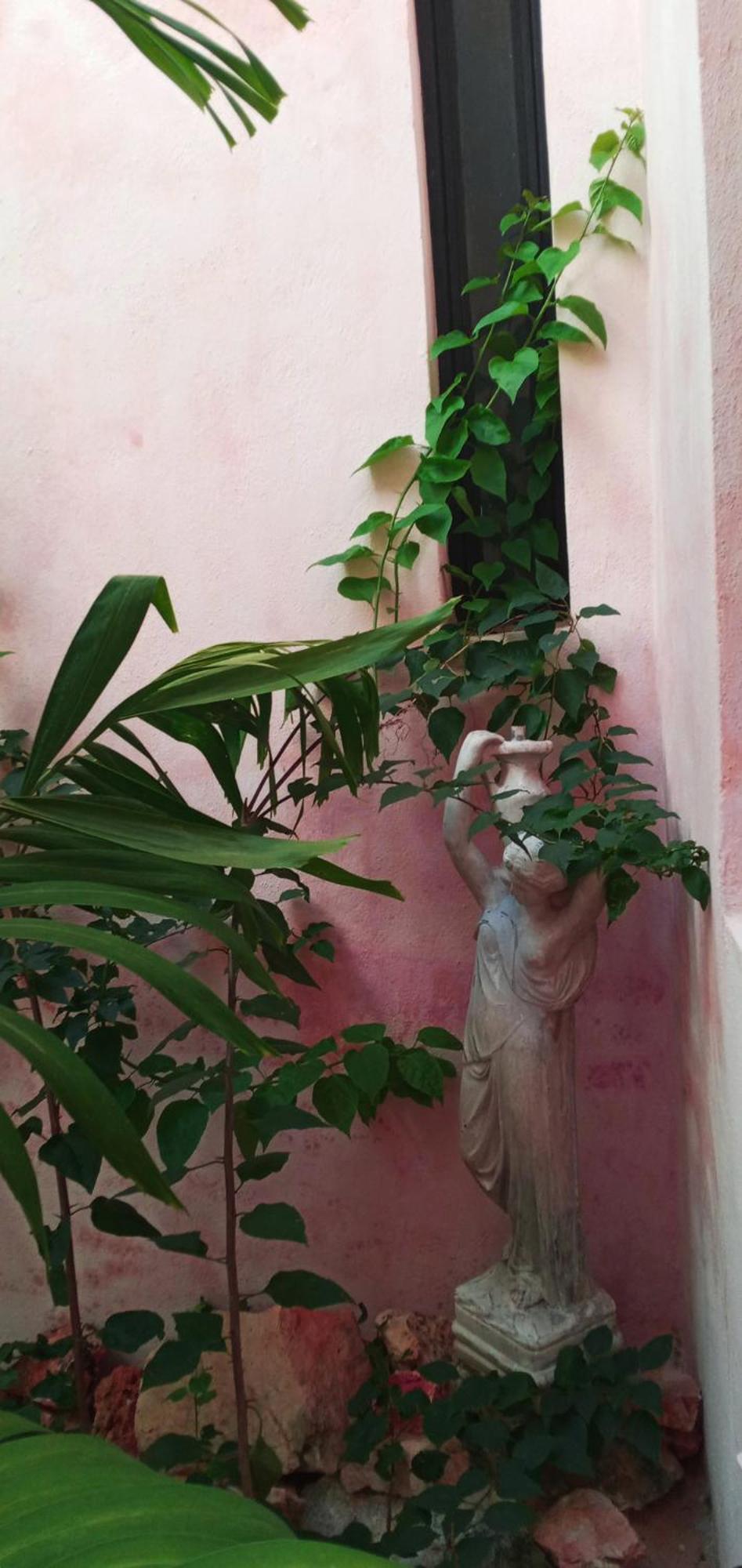 Cytyz Appart Hotel Mahajanga Bagian luar foto